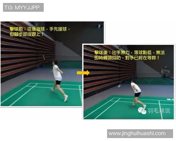 北京羽毛球队区域防守策略解析与技术深度剖析 北京羽毛球队区域防守策略解析与技术深度剖析