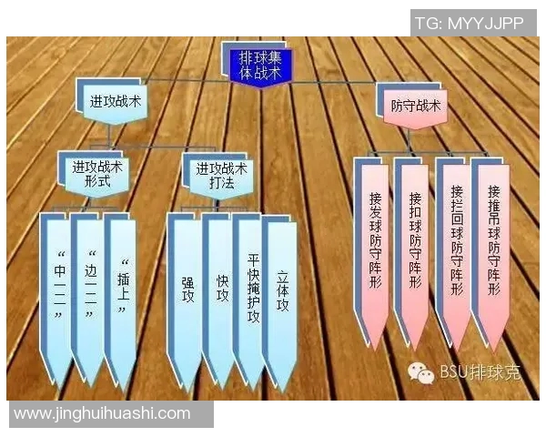 北京排球队的节奏分析与战术得失探讨 北京排球队的节奏分析与战术得失探讨